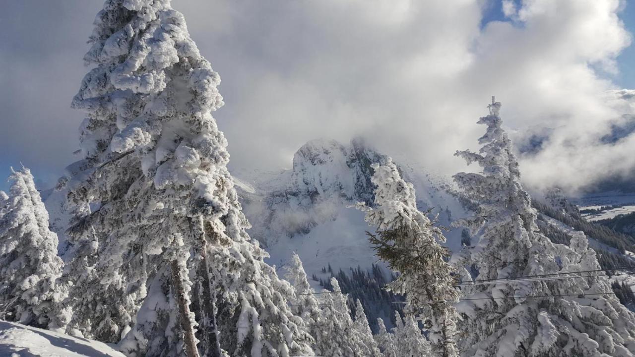 Alpenchalet Vils Tirol Dış mekan fotoğraf